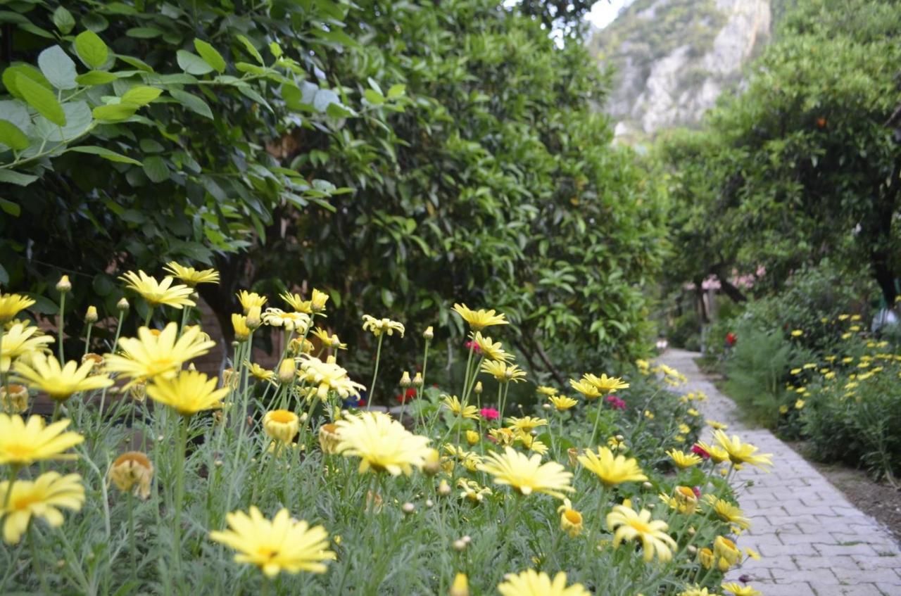 Mercan Pension Olympos Exterior photo