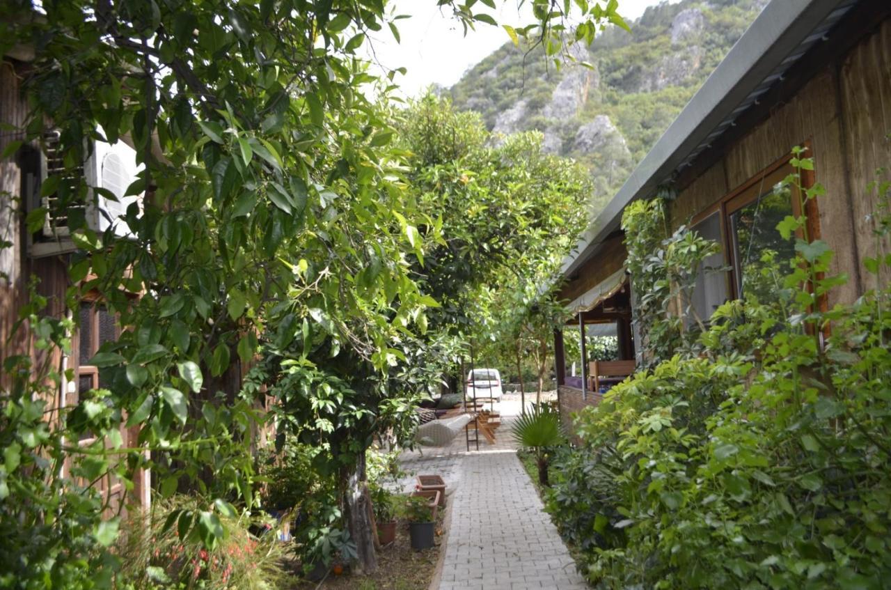 Mercan Pension Olympos Exterior photo