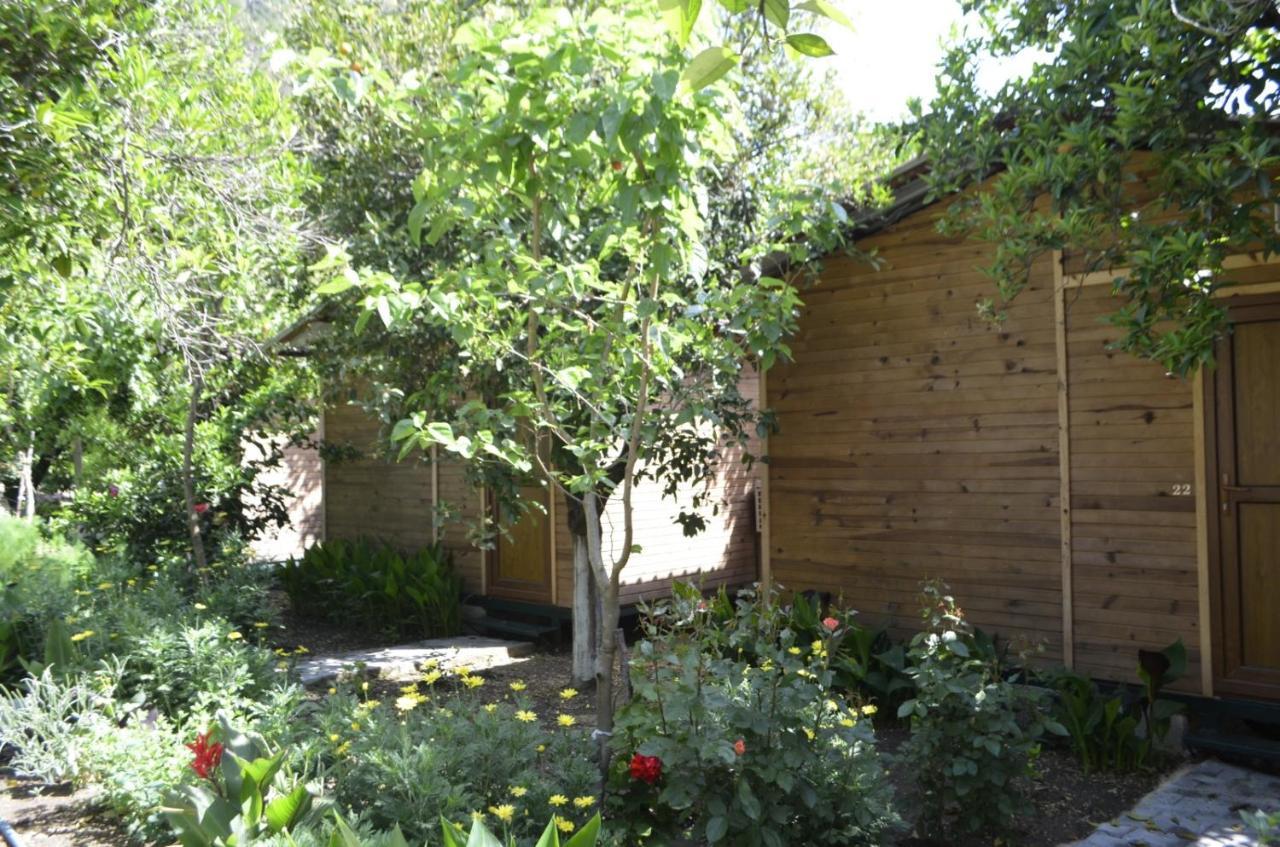 Mercan Pension Olympos Exterior photo
