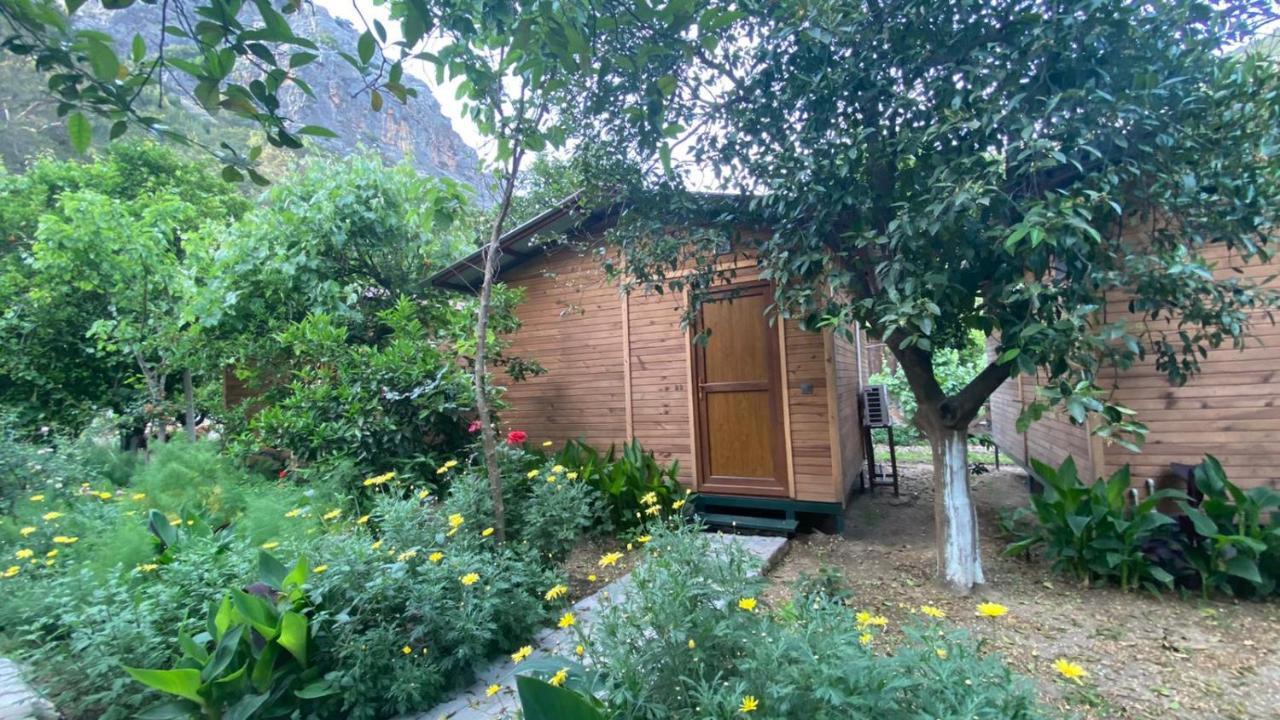 Mercan Pension Olympos Exterior photo