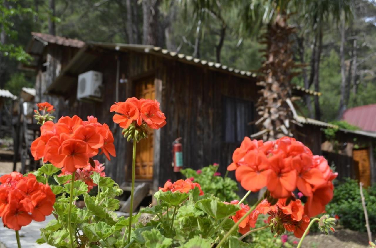 Mercan Pension Olympos Exterior photo