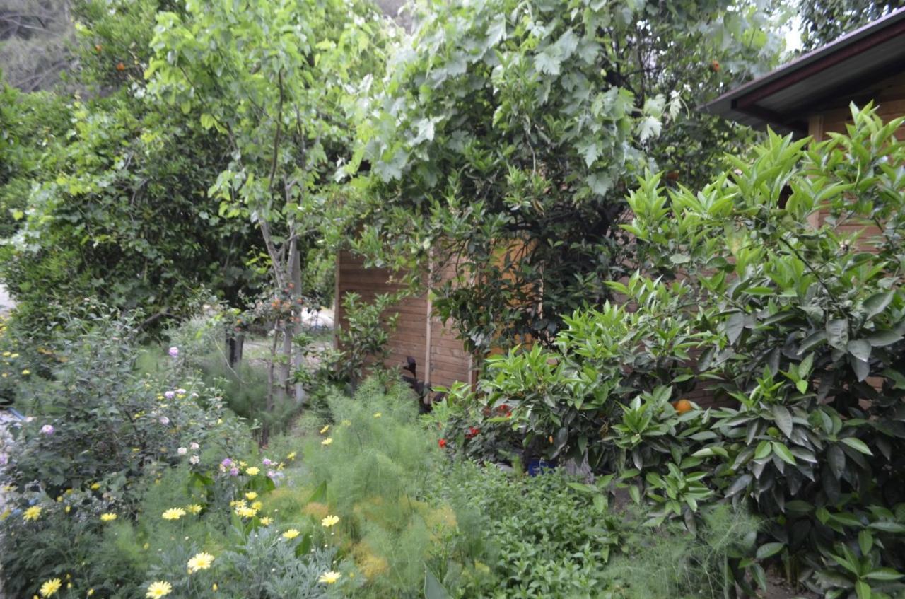 Mercan Pension Olympos Exterior photo