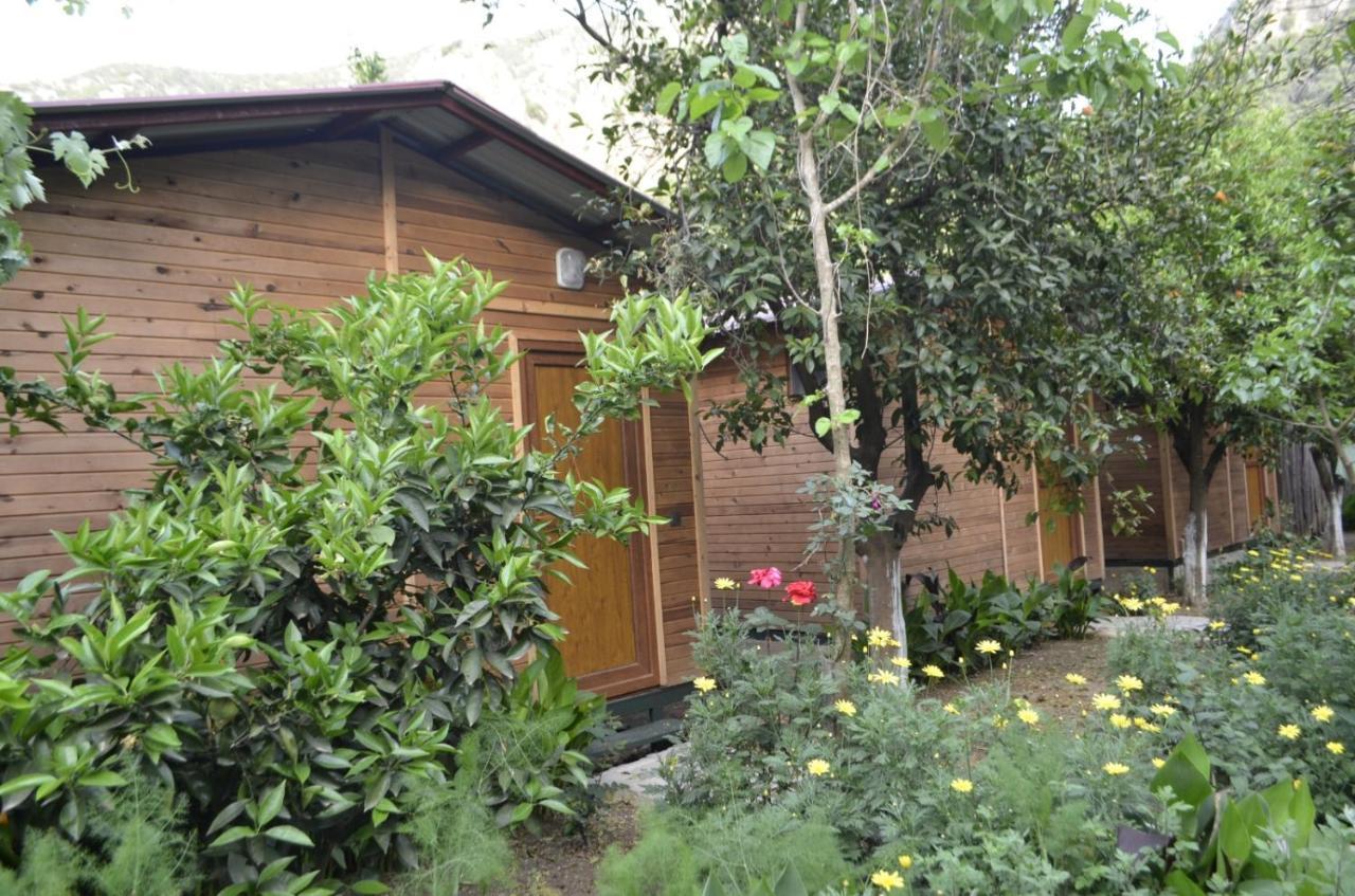 Mercan Pension Olympos Exterior photo
