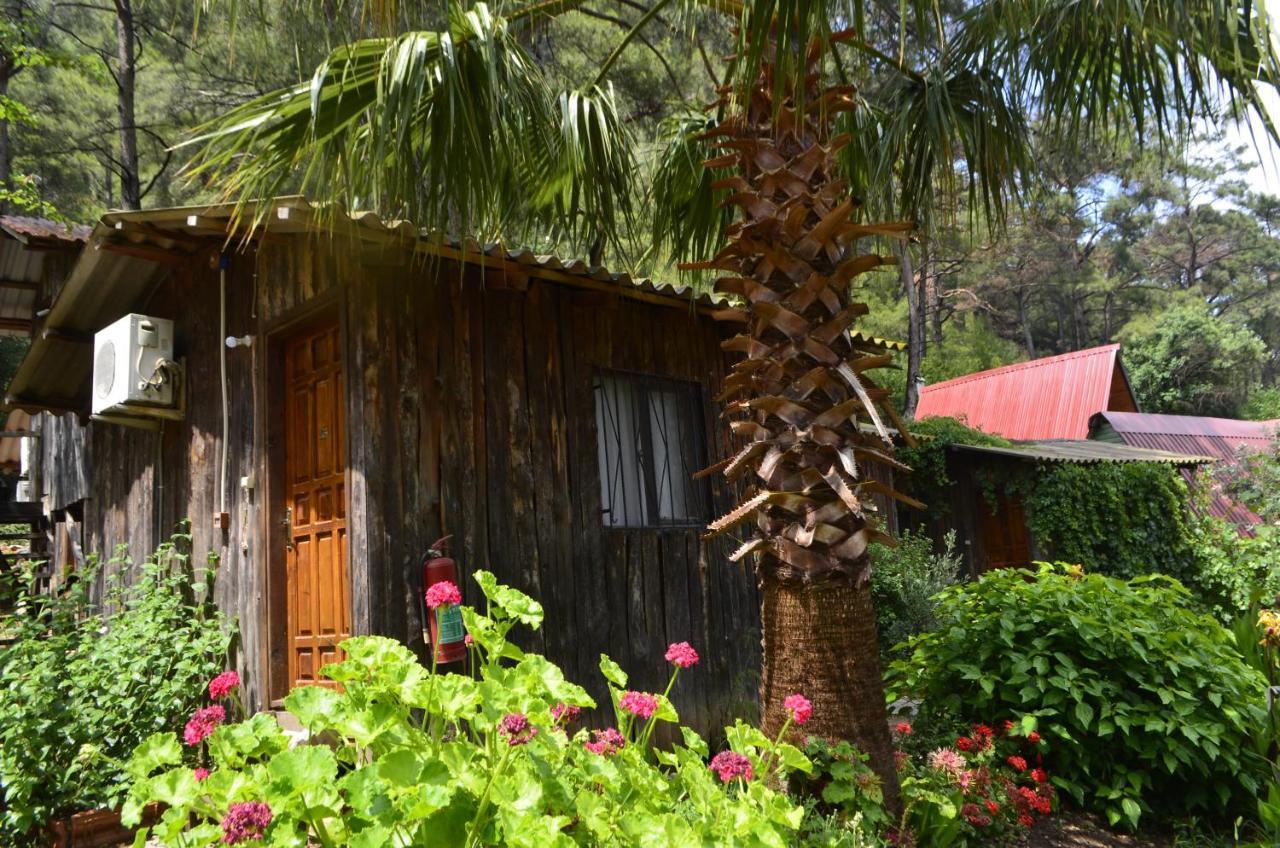 Mercan Pension Olympos Exterior photo