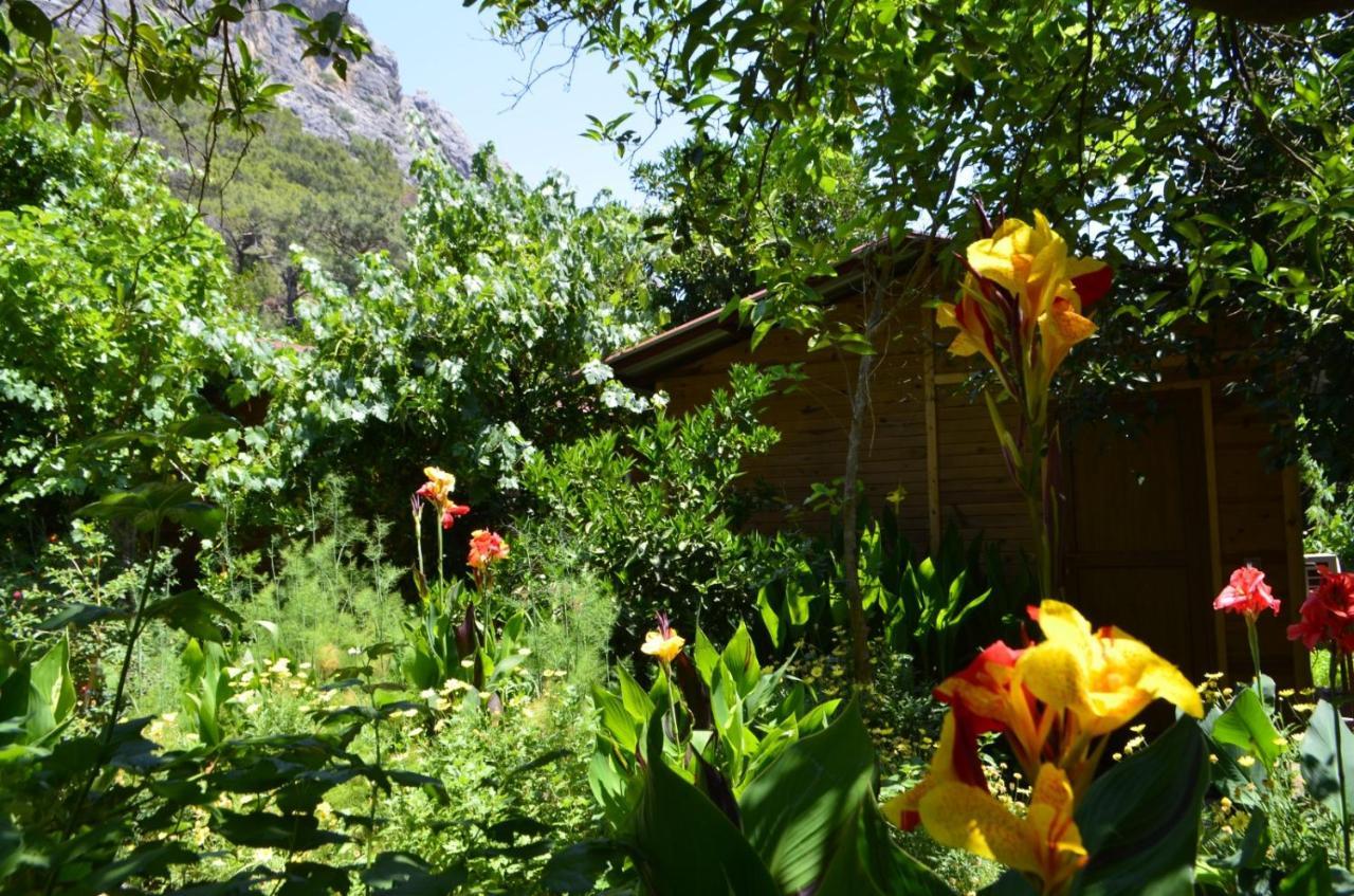 Mercan Pension Olympos Exterior photo