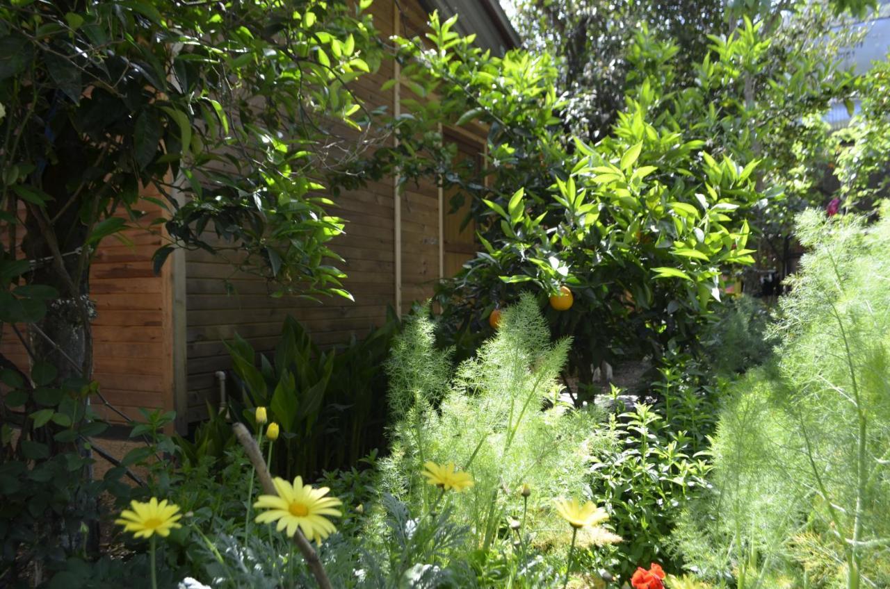 Mercan Pension Olympos Exterior photo
