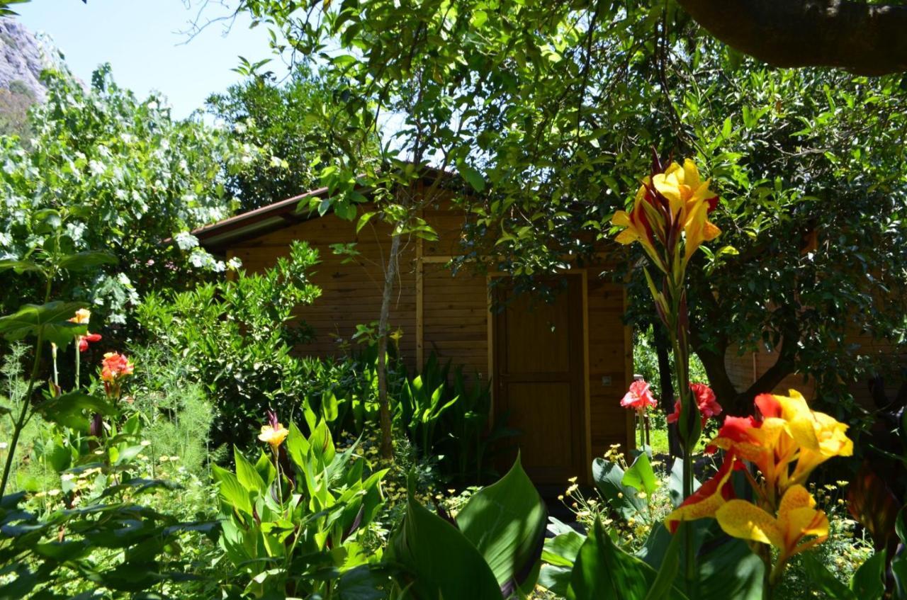 Mercan Pension Olympos Exterior photo