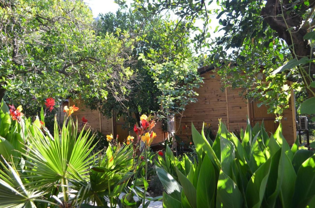 Mercan Pension Olympos Exterior photo