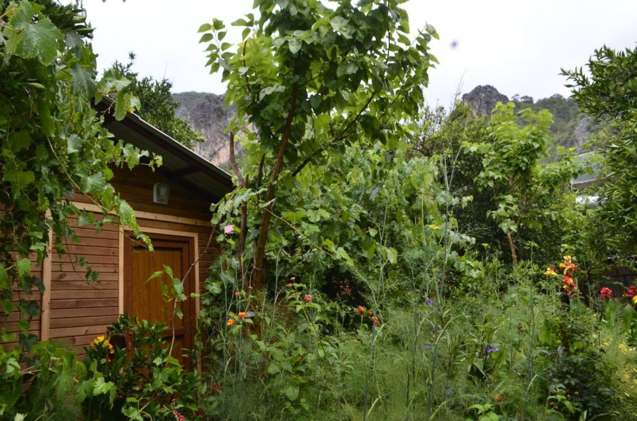 Mercan Pension Olympos Exterior photo